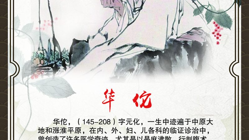 中药调理的价格受多种因素影响，以下是一些主要因素：
