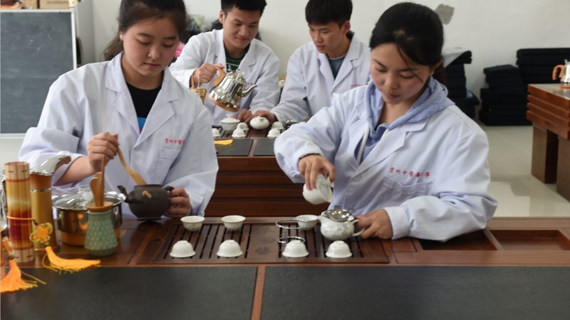 治未病管理软件续费价格